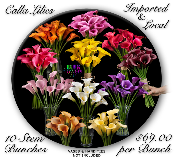 Calla Lilies