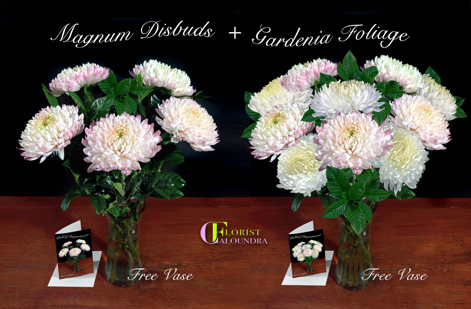 MAGNUM DISBUDS